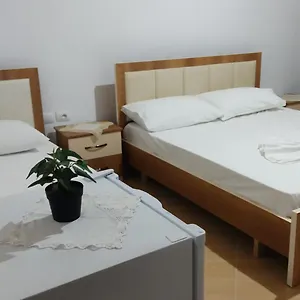 https://dino.albaniahotels.org